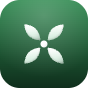 Family Tree icon
